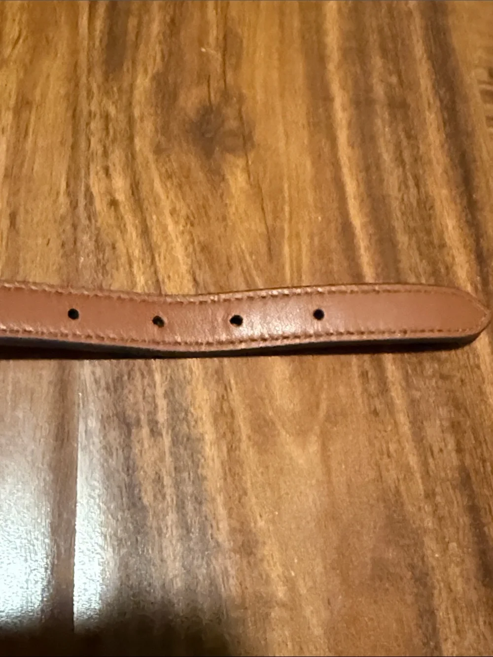 Coach Signature Canvas Dog Collar with Tan Leather Trim and Silver Charms
